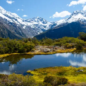 Lee más sobre el artículo 7 Razones para Estudiar inglés en Nueva Zelanda